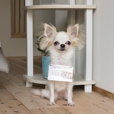 Kanazawa Higashiyama Cabin Hakobune Dış mekan fotoğraf